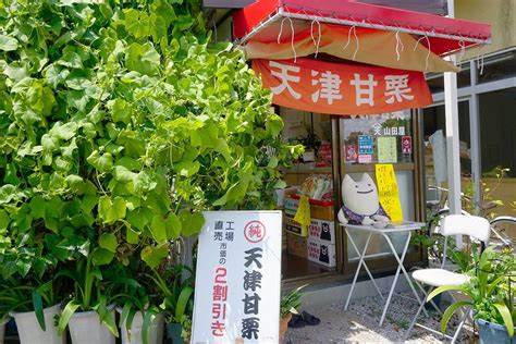 天津甘栗山田屋