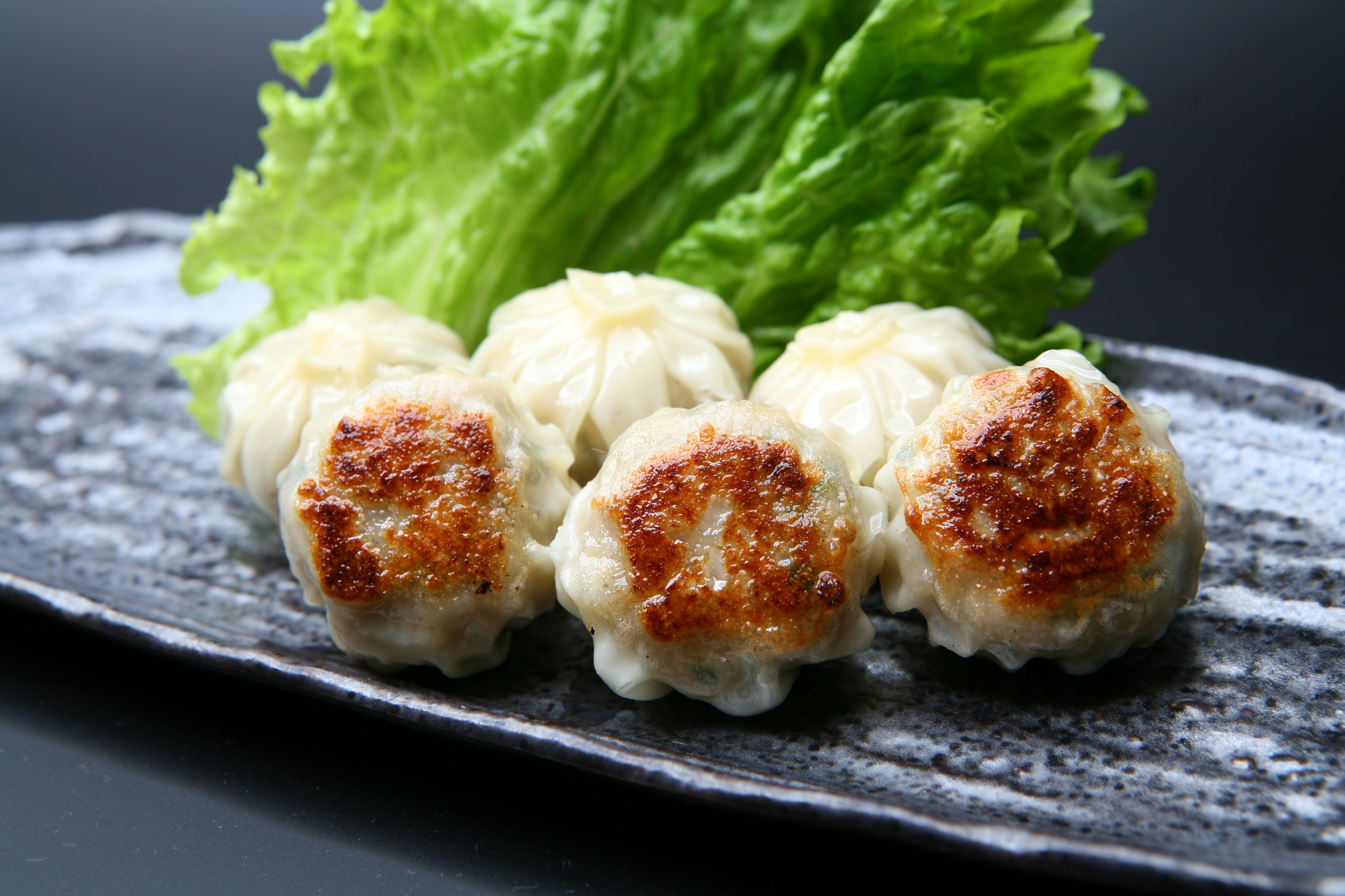 食の大祭典ベストセレクション